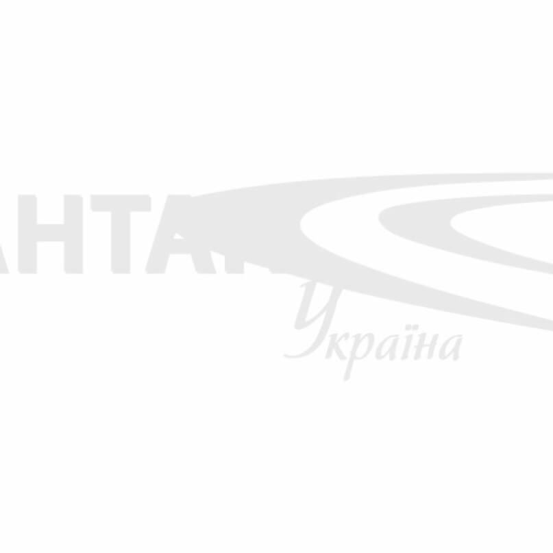 Фото LVIV ECO FORUM 2024
